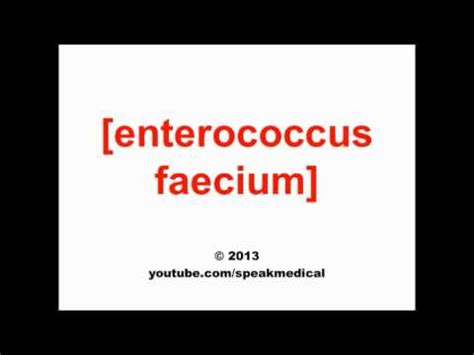 enterococcus faecium pronunciation|Pronounce Enterococcus faecium .